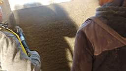 acastle
                              189630.jpg